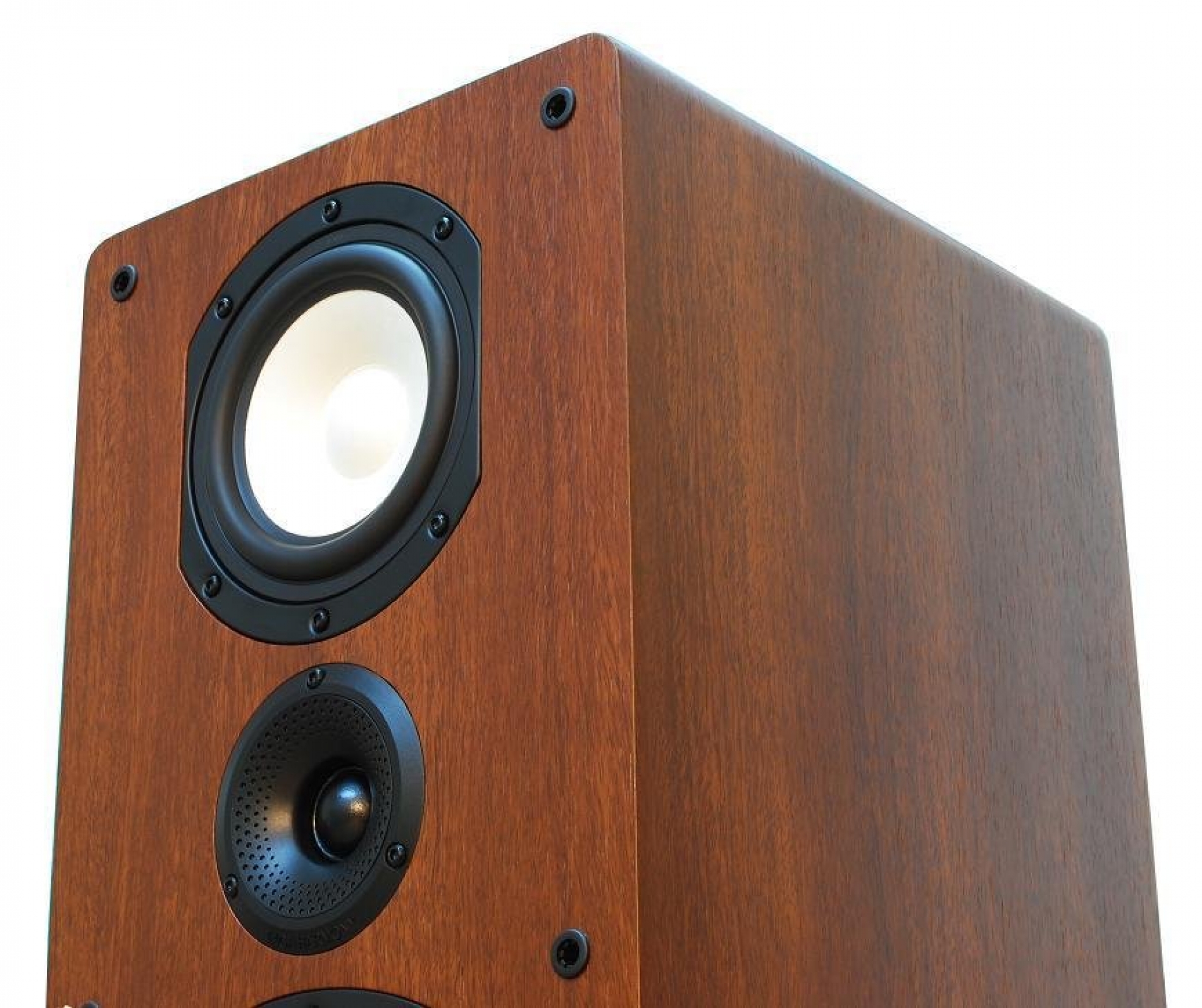 Taga harmony TAV-806F - cecha 3