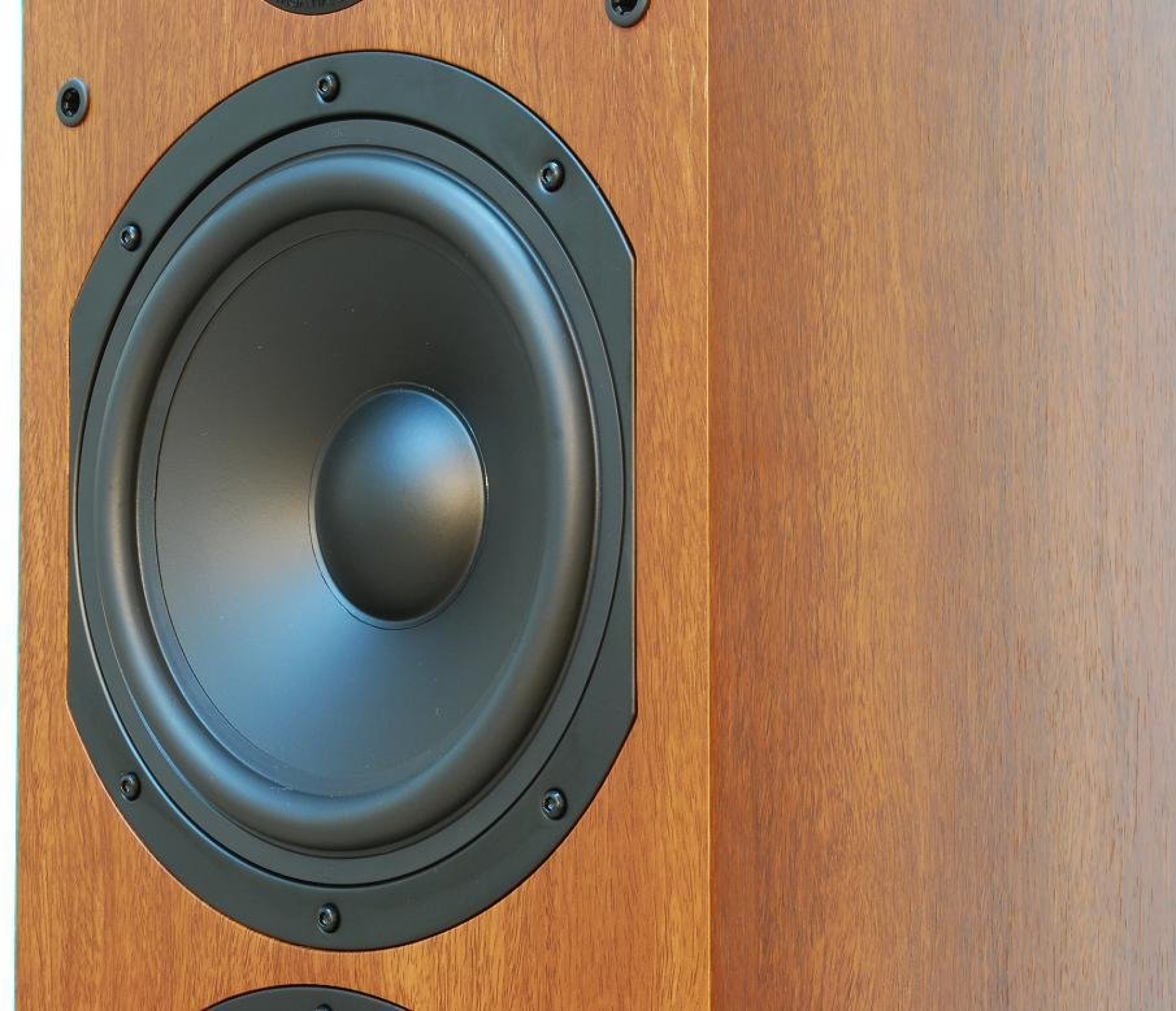 Taga harmony TAV-806F - cecha 1