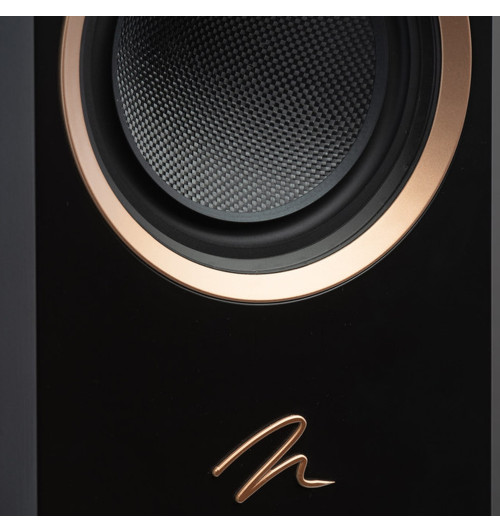 MartinLogan Motion F10 - Kolumny podłogowe (para)