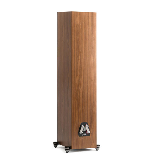 MartinLogan Motion XT F100 kolumna głośnikowa podłogowa | AVstore.pl