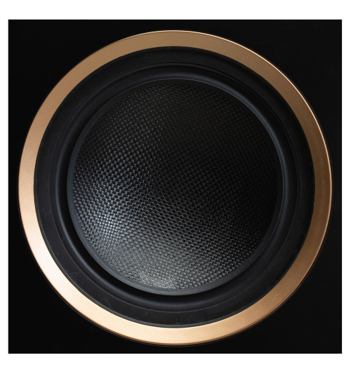 MartinLogan Motion XT F200 kolumna głośnikowa podłogowa | AVstore.pl