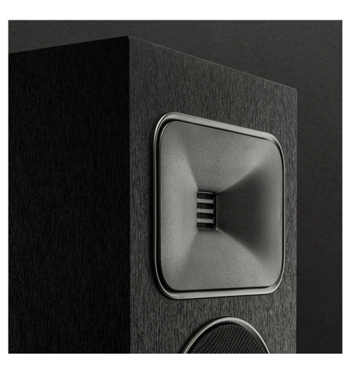 MartinLogan Foundation F2 kolumna głośnikowa podłogowa | AVstore.pl