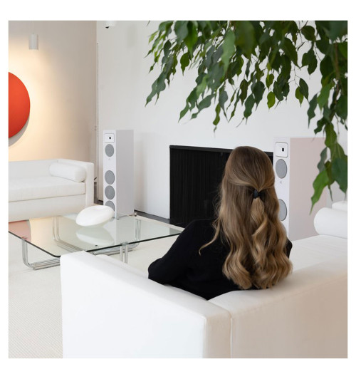 MartinLogan Foundation F2 kolumny głośnikowe podłogowe | AVstore.pl