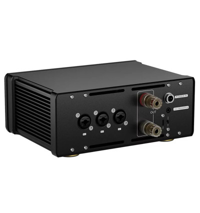 Topping B200 - Końcówka mocy mono / wzmacniacz NFCA