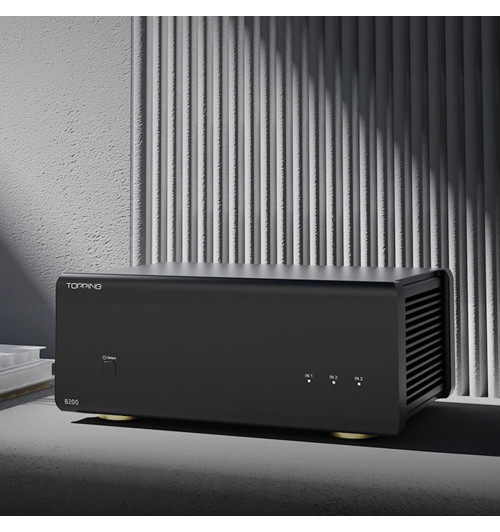 Topping B200 - Końcówka mocy mono / wzmacniacz NFCA
