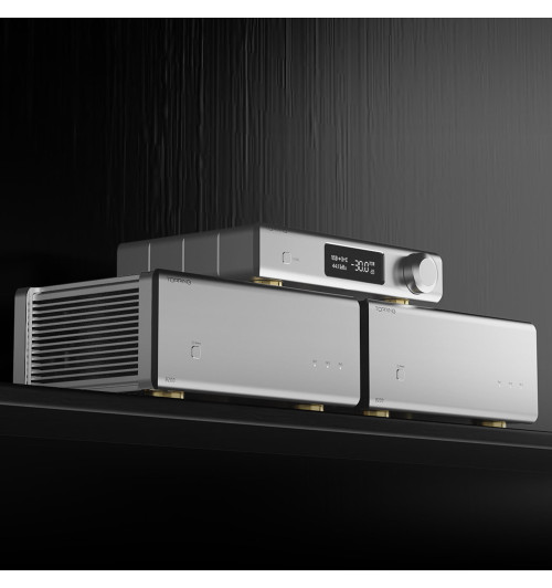 Topping B200 - Końcówka mocy mono / wzmacniacz NFCA