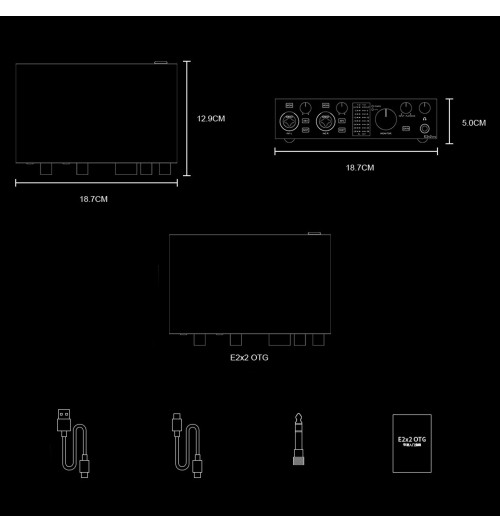 Topping E2x2 OTG - Profesjonalny interfejs USB Audio