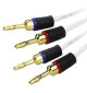 Van den Hul The Snowline - Komplet konfekcjonowanych kabli głośnikowych OFC 2x1.97mm2 - 2 x 3m