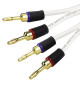 Van den Hul The Arctic Bananas - Komplet konfekcjonowanych kabli głośnikowych OFC 2x3.31mm2 - 2 x 2m