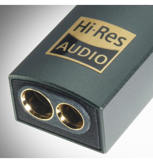 iFi Audio Go Link Max - Przenośny wzmacniacz słuchawkowy z DAC USB-C Hi-Res