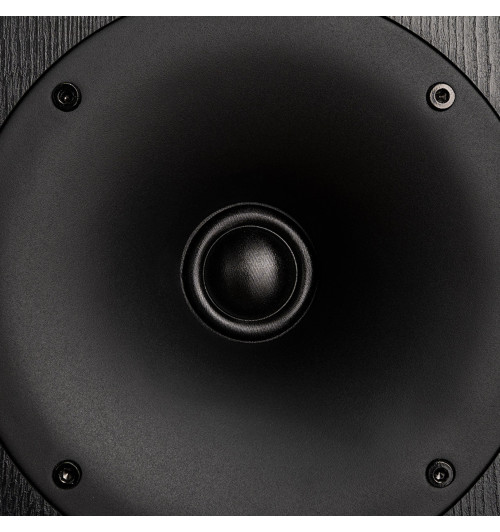 Zestaw: Denon PMA-900HNE + Wilson Studio 7 Black