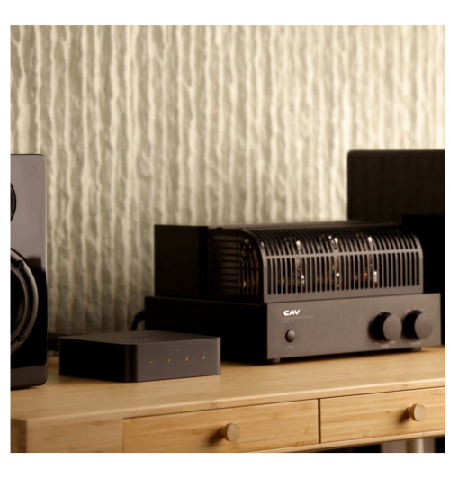 WiiM Pro Plus - Odtwarzacz sieciowy / streamer Wi-Fi z Roon Ready, Chromecast, AirPlay2 i Bluetooth 5.1