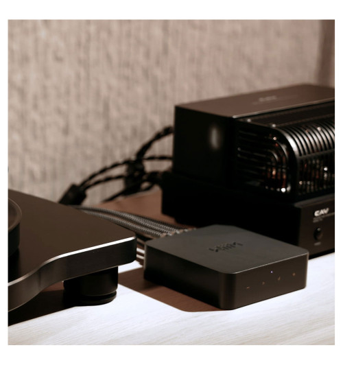 Odtwarzacz sieciowy streamer Wi-Fi WiiM Pro Plus | WYSYŁKA 24h