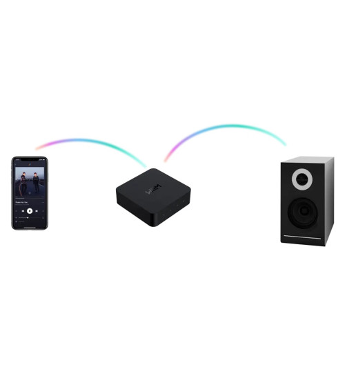 WiiM Pro Plus - Odtwarzacz sieciowy / streamer Wi-Fi z Roon Ready, Chromecast, AirPlay2 i Bluetooth 5.1
