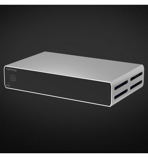 Topping B100 - Końcówka mocy mono