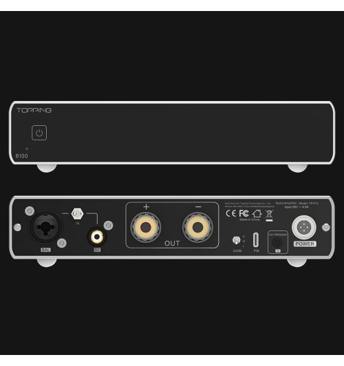 Topping B100 - Końcówka mocy mono
