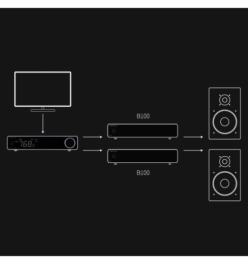 Topping B100 - Końcówka mocy mono