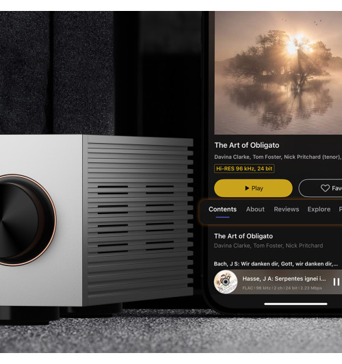 EverSolo DMP-A6 Master Edition Gen 2 - Zbalansowany odtwarzacz sieciowy / streamer audio Hi-Res z Bluetooth 5.0