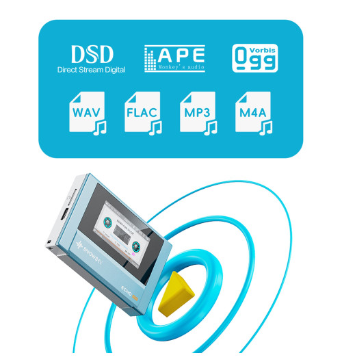 FiiO Snowsky Echo Mini - Przenośny odtwarzacz muzyczny DAP High-Res z Bluetooth