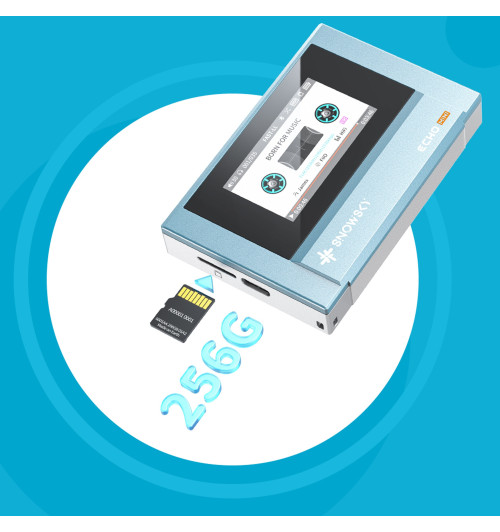 FiiO Snowsky Echo Mini - Przenośny odtwarzacz muzyczny DAP High-Res z Bluetooth