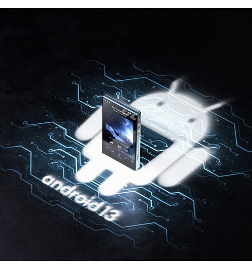 Zestaw: FiiO JM21 + etui FiiO SK-JM21