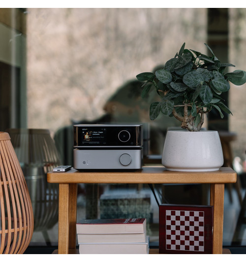 WiiM Vibelink Amp - Wzmacniacz stereo / końcówka mocy