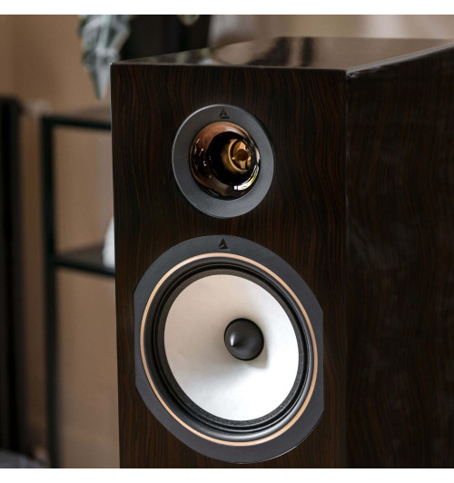 Triangle Antal 40th Anniversary Edition - Kolumna podłogowa