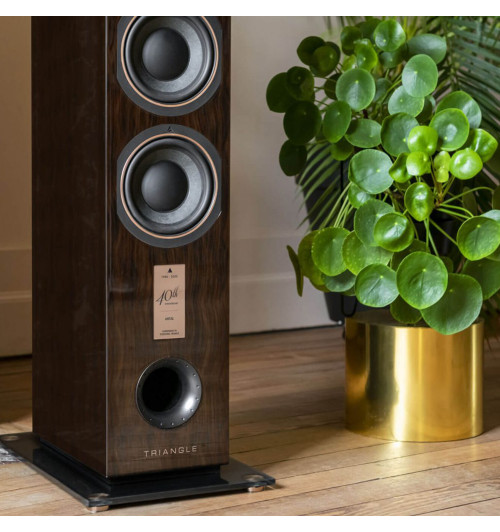 Triangle Antal 40th Anniversary Edition - Kolumny podłogowe (para)