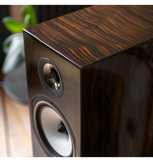 Triangle Antal 40th Anniversary Edition - Kolumny podłogowe (para)