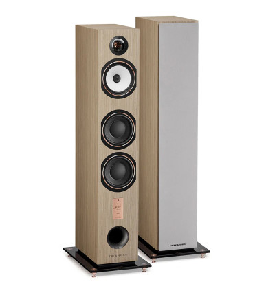 Triangle Antal 40th Anniversary Edition - Kolumny podłogowe (para)