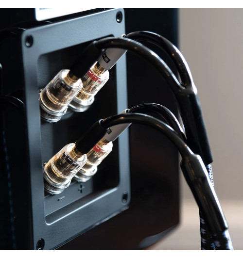 SVS SoundPath Ultra Speaker Cable - Konfekcjonowany kabel głośnikowy 14AWG wtyki bananowe