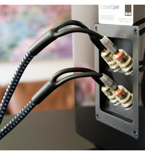 SVS SoundPath Ultra Bi-Wire Speaker Cable - Konfekcjonowany kabel głośnikowy 14AWG wtyki bananowe
