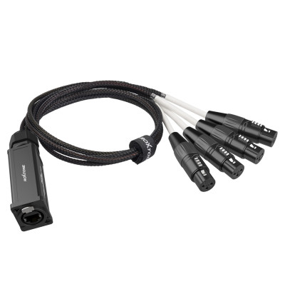 Roxtone PS4F - Konwerter adapter DMX żeński na RJ45 żeński