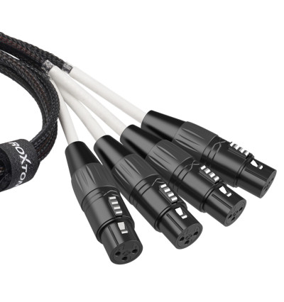 Roxtone PS4F - Konwerter adapter DMX żeński na RJ45 żeński