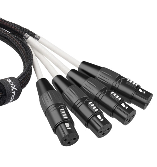 Roxtone PS4F - Konwerter adapter DMX żeński na RJ45 żeński