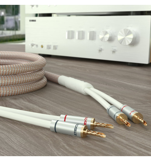 Ricable Dedalus Speaker Elite - Komplet konfekcjonowanych kabli głośnikowych