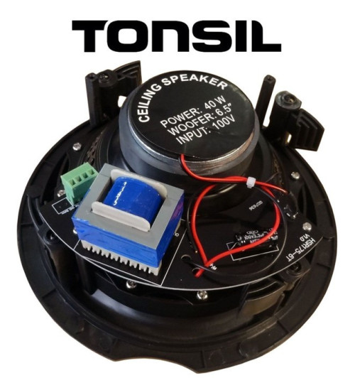 Tonsil ZGSU 205 S – Dwudrożny głośnik ścienny/sufitowy do zabudowy