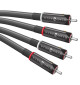 WireWorld Equinox 10 (EQI) - Kabel interkonekt stereo audio 2x RCA - 2x RCA
