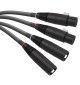 WireWorld Equinox 10 (QBI) - Zbalansowany kabel interkonekt audio 2x XLR - 2x XLR