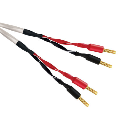 WireWorld Luna 10 (LUS) - Komplet konfekcjonowanych kabli głośnikowych