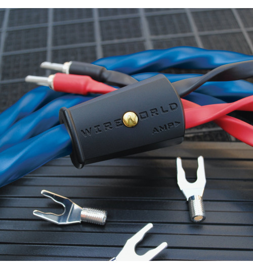 WireWorld Oasis 10 (OAS) - Komplet konfekcjonowanych kabli głośnikowych