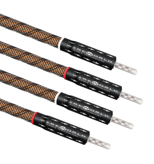 WireWorld Eclipse 10 Biwire Jumpers Banana - Audiofilskie zworki do kolumn głośnikowych komplet 4 x 15cm