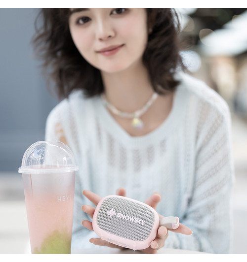 FiiO Snowsky Anywhere - Przenośny głośnik bezprzewodowy Bluetooth 5.4 wodoodporny IPX6
