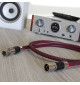 Ricable Invictus AES/EBU - Kabel cyfrowy interkonekt XLR 110 Ohm