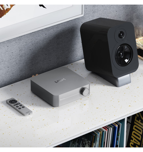 WiiM Voice Remote 2 - Pilot bezprzewodowy do odtwarzaczy sieciowych i wzmacniaczy WiiM