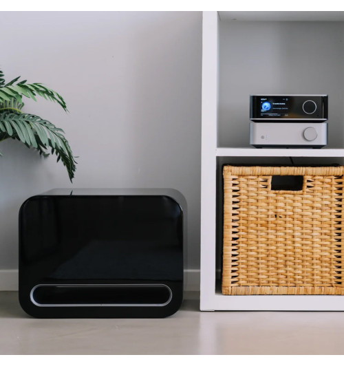 WiiM Sub Pro - Bezprzewodowy subwoofer aktywny 8" 250W z AI RoomFit, Wi-Fi 6 i Bluetooth 5.3