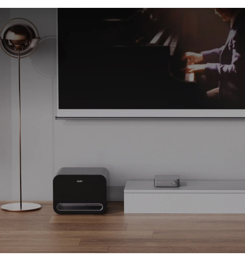WiiM Sub Pro - Bezprzewodowy subwoofer aktywny 8" 250W z AI RoomFit, Wi-Fi 6 i Bluetooth 5.3