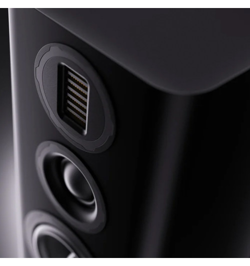 Wharfedale EVO 5.2 - Kolumny podstawkowe (para)