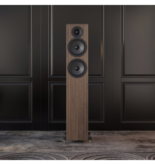 Acoustic Energy AE309.2 (AE309²) - Kolumny podłogowe (para)