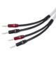Chord Company C-screenX - Komplet konfekcjonowanych kabli głośnikowych